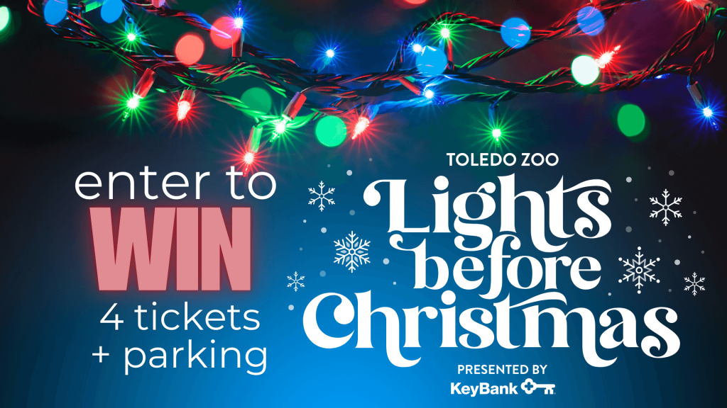 Toledo Zoo Lights Before Christmas GIVEAWAY! WRQNFM