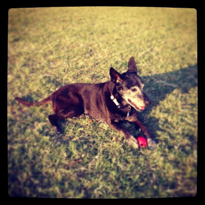 lucy1