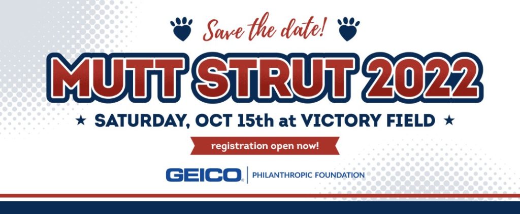 October 15 Mutt Strut 2022 WJJK FM october-15-mutt-strut-2022-wjjk-fm