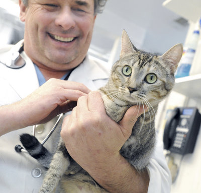 DrGoodVetClinic