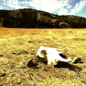 New Music Video From Swamphammer