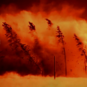 New The Watchers Music Video For Just A Needle