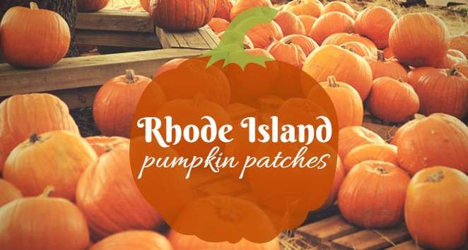 PumpkinPatches